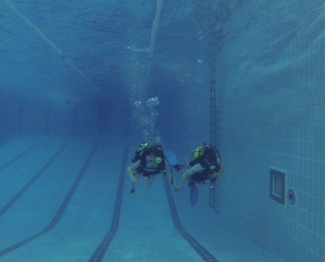 Buceando de la mano en la piscina